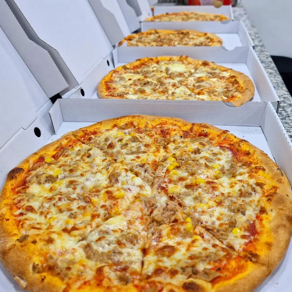 Pizza Quattro Stagioni