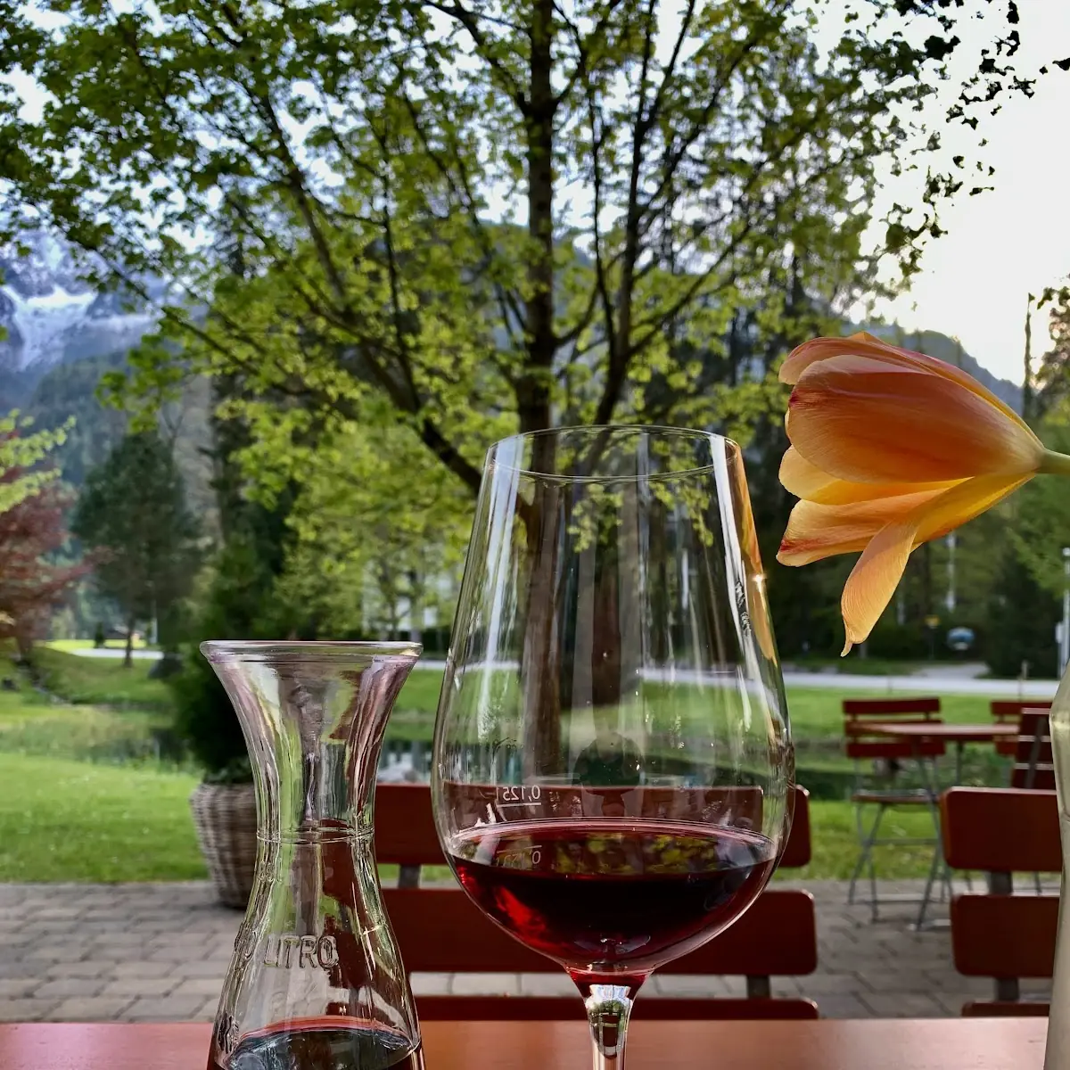 Rotwein