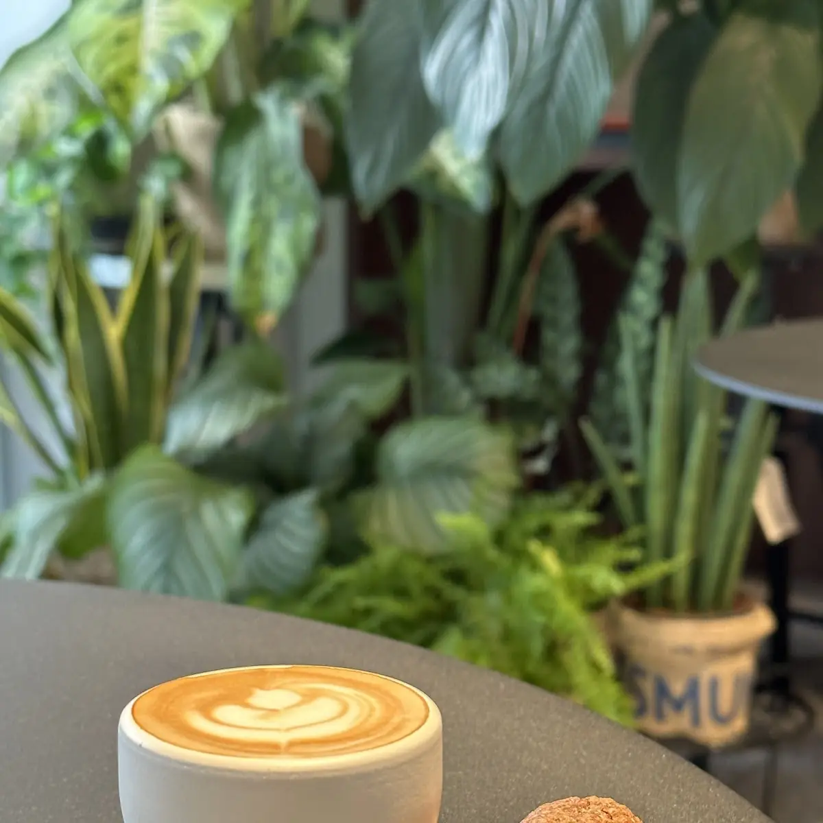 Breakfast Special Specialty Coffee Cookie