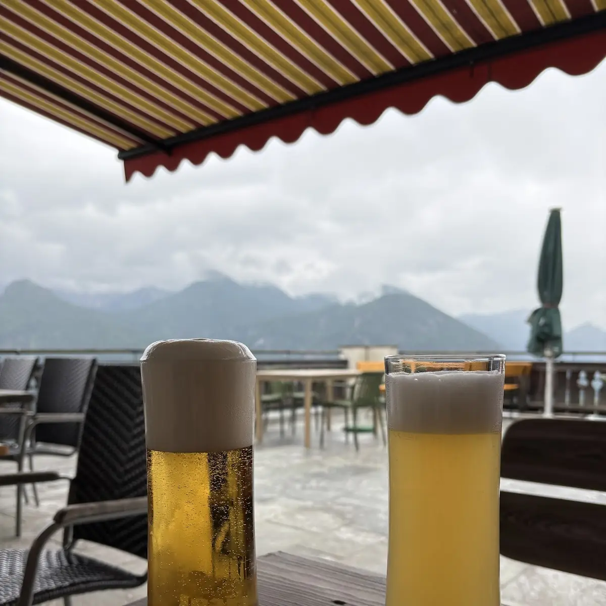 Stiegl & Wieninger Bier