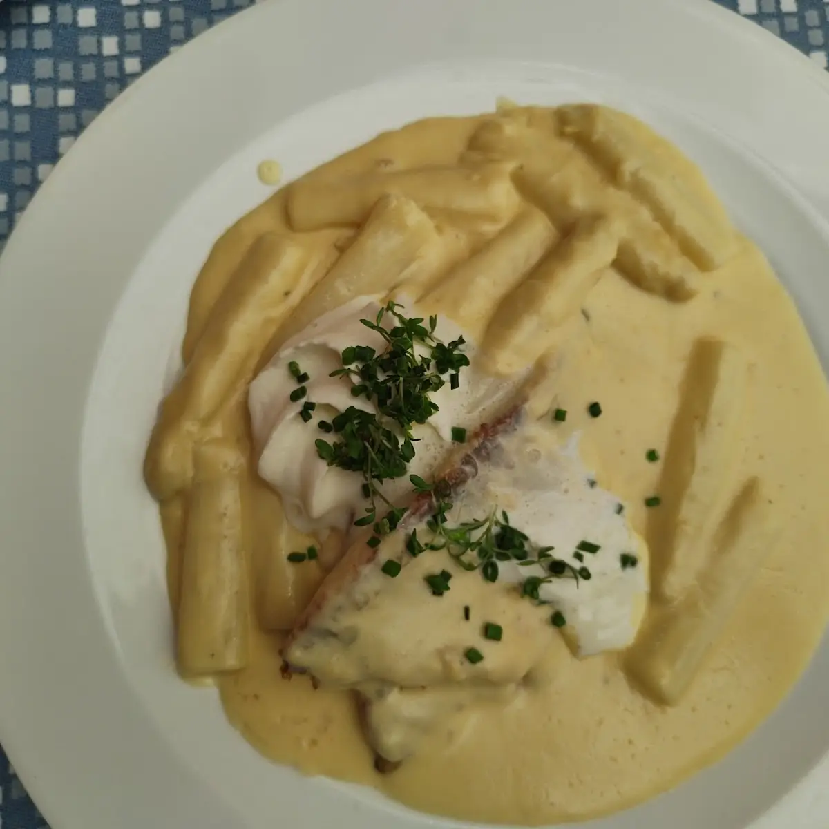 Zanderfilet Mit