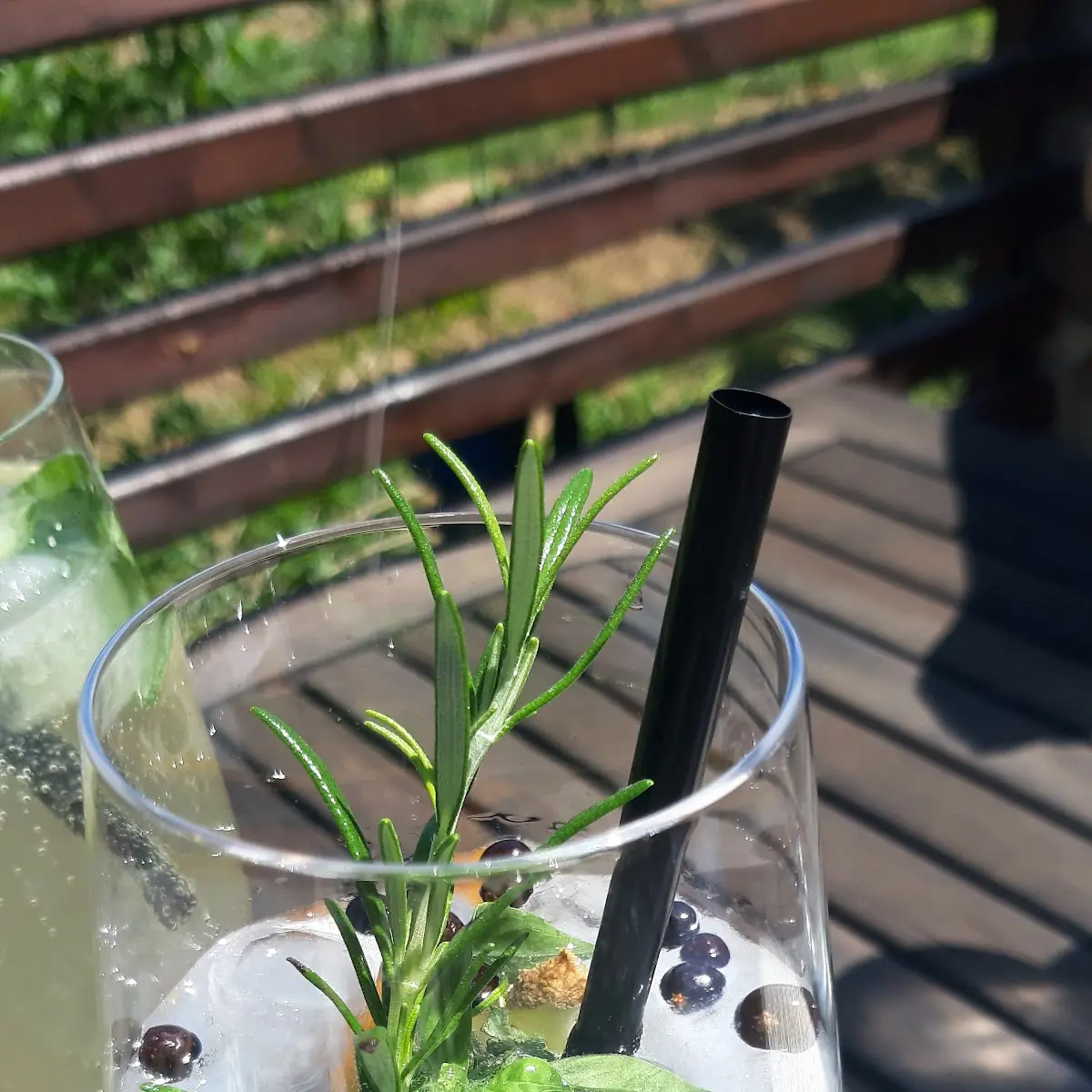 Gin Tonic