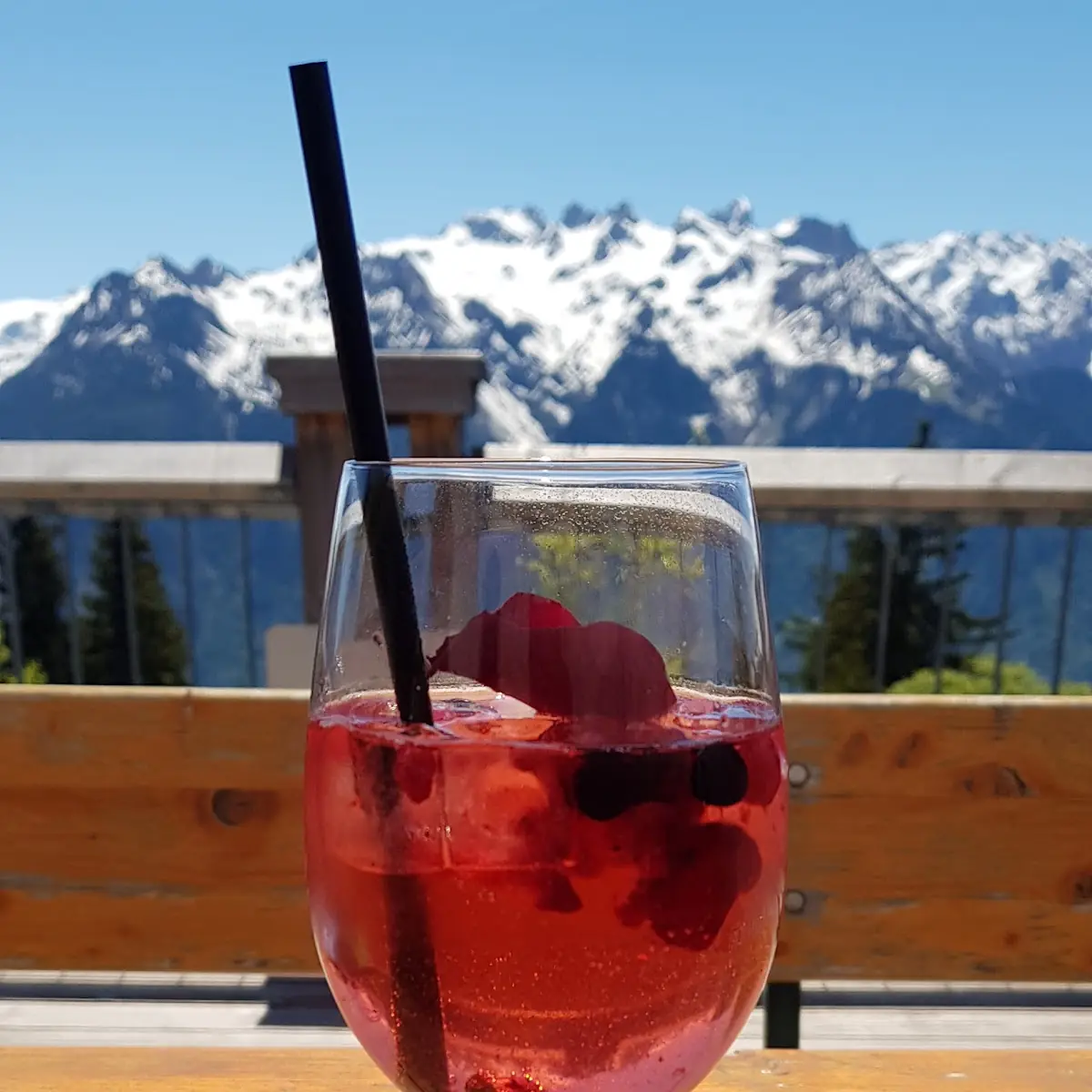 Beerenspritz Mit Eis Roten Und Schwarzen Heidelbeeren Und Rosenblätter Garnitur