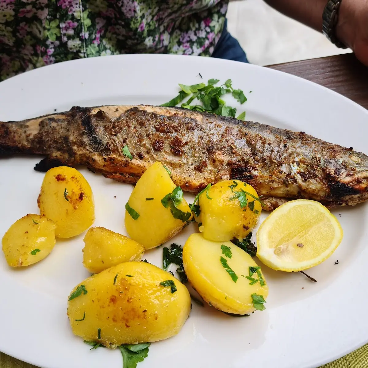 Forelle Müllerin Sehr Gut