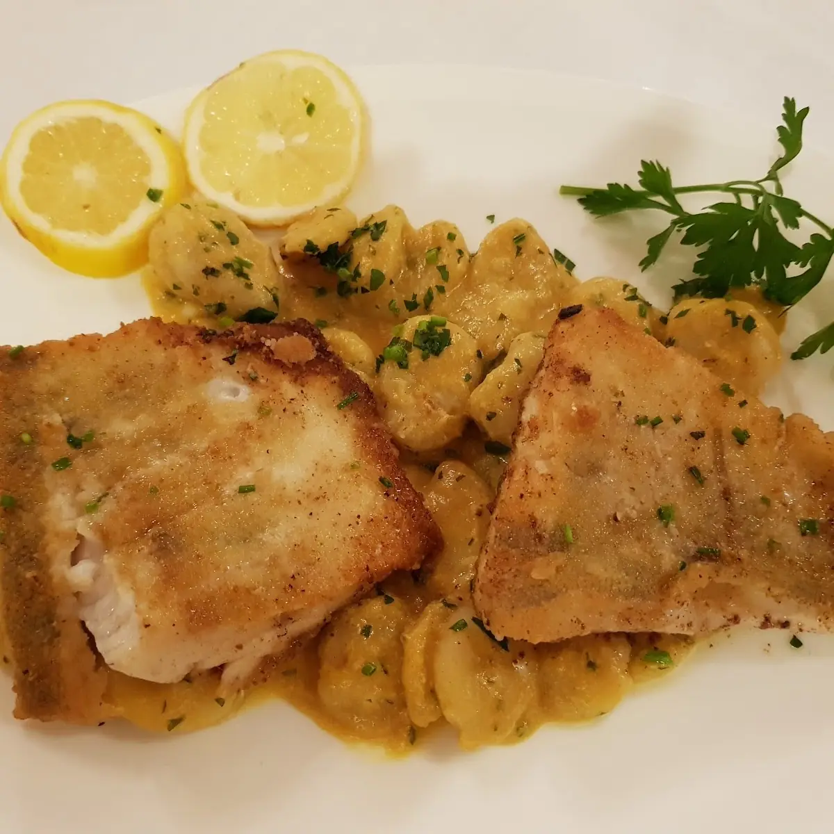 Zanderfilet Mit