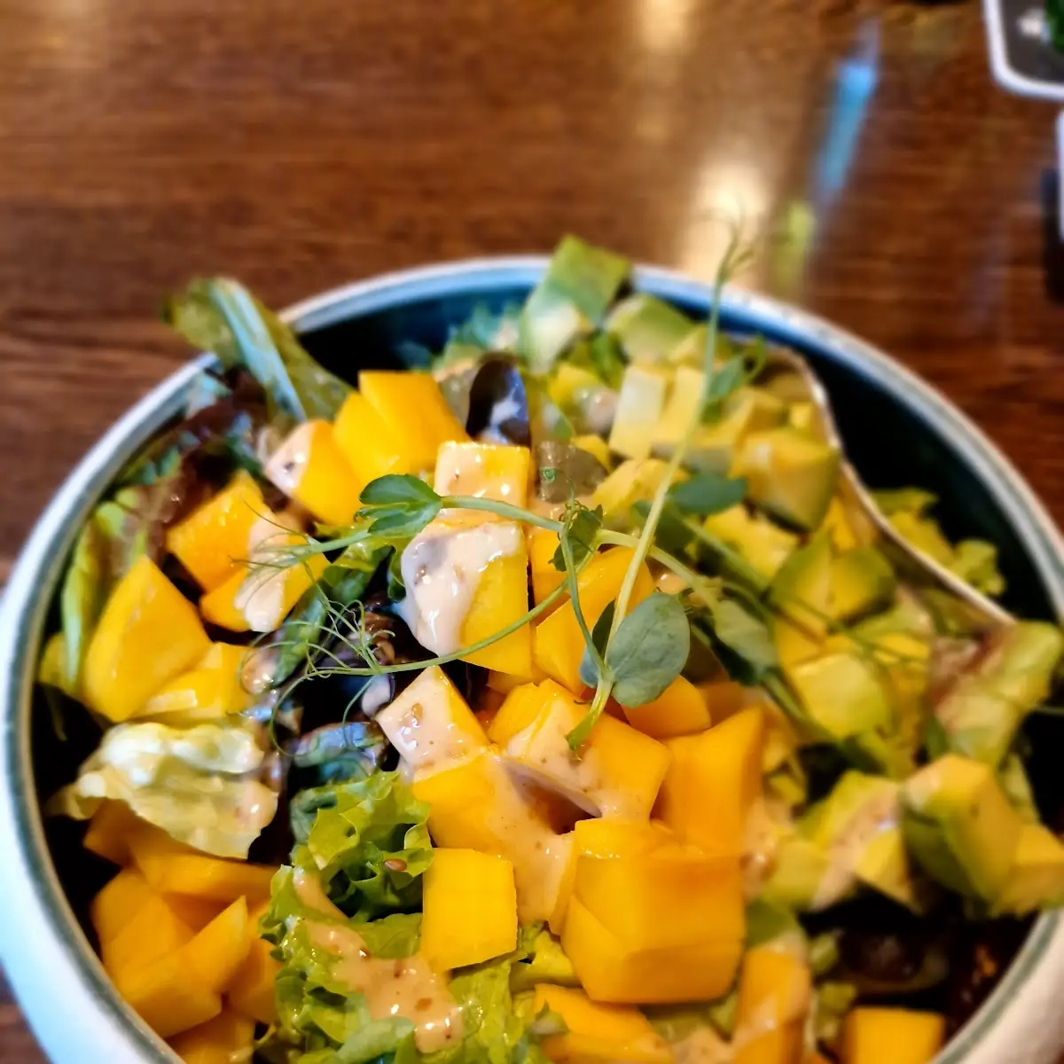 Avocado & Mango Salat