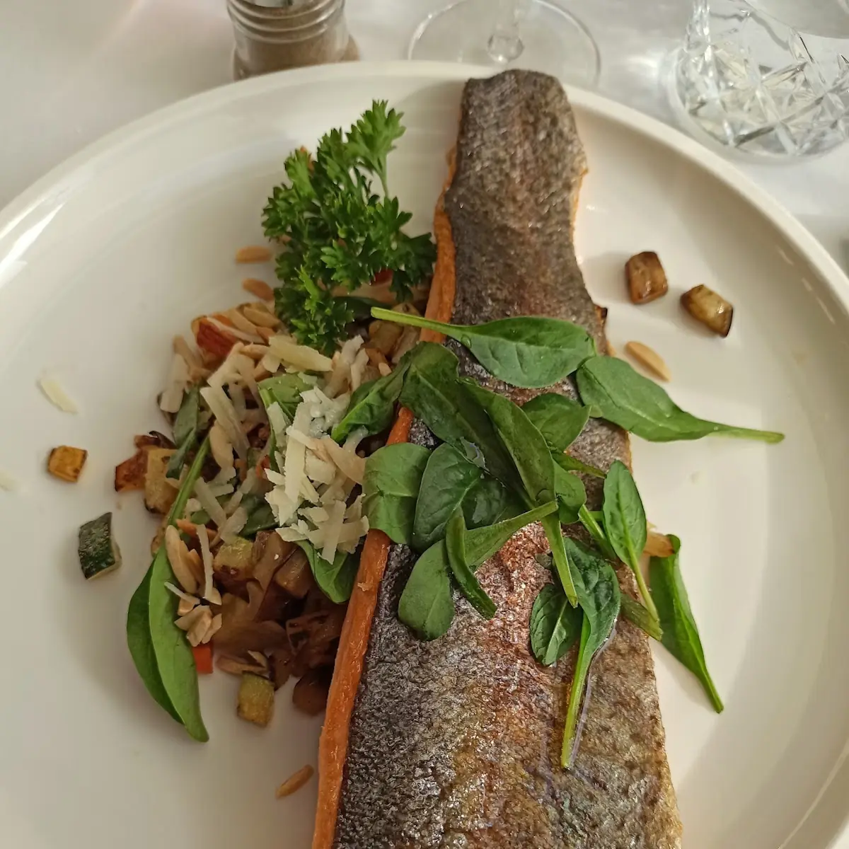 Lachsforellenfilet Mit Grillgemüse Gemischter Salat