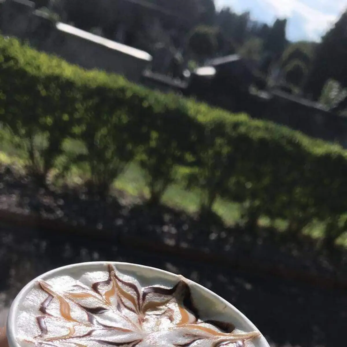 Cappuccino
