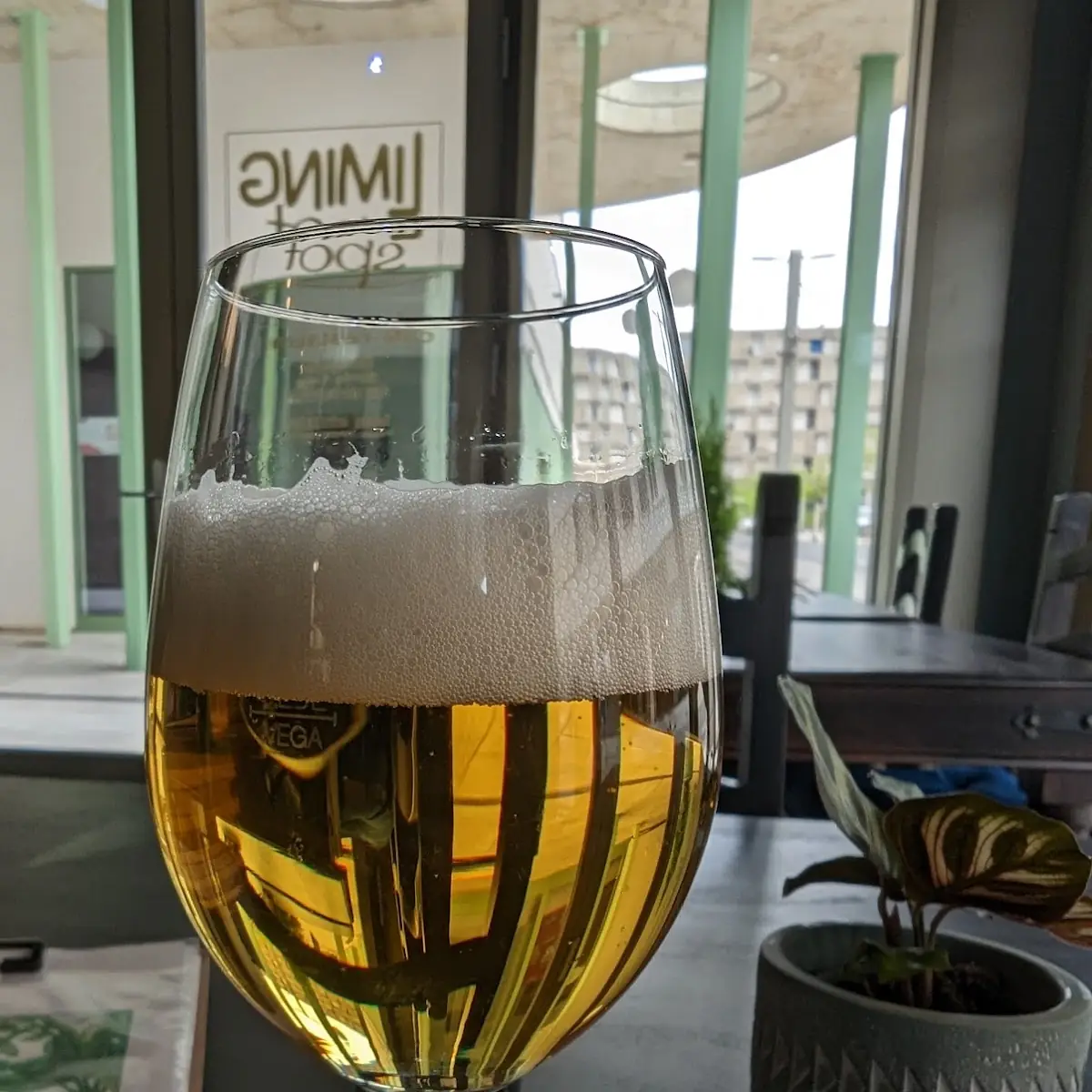 Beer
