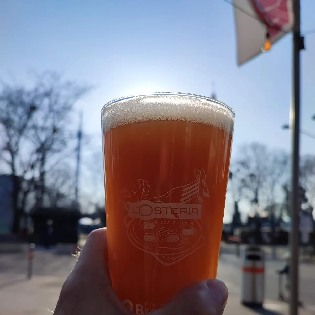 Brauwerk Session IPA