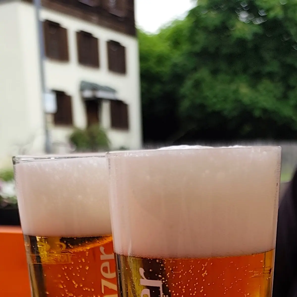 Bier