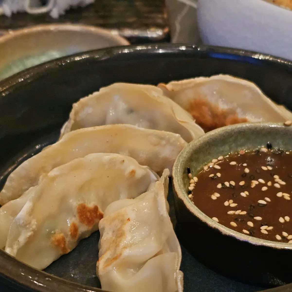 Tori Gyoza