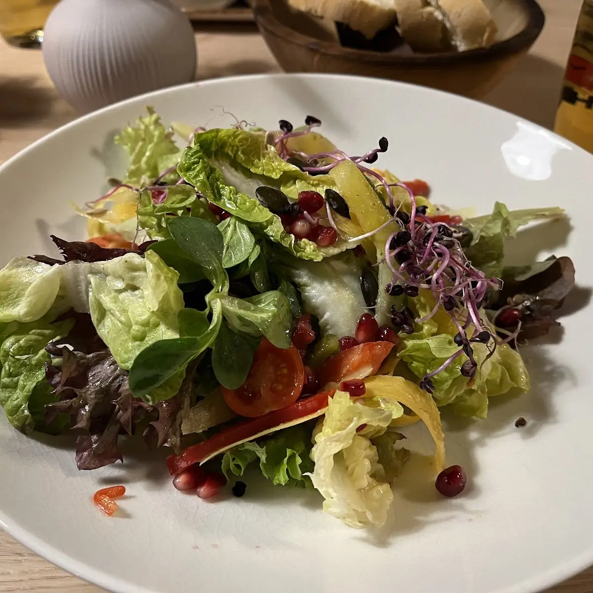 Louis Salat