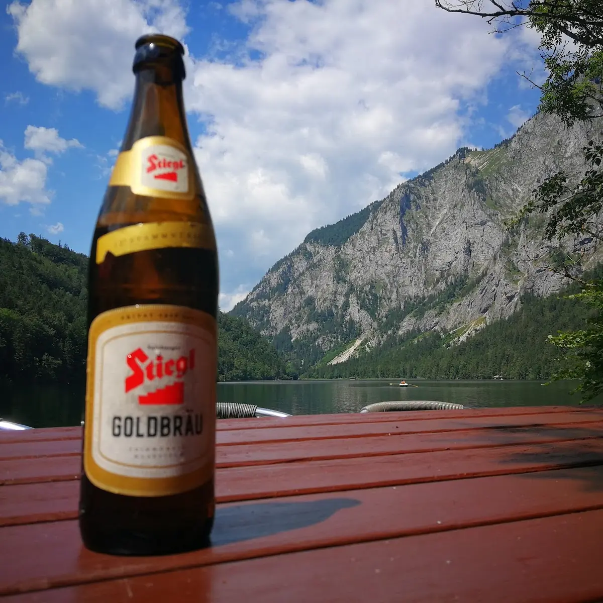 Bier