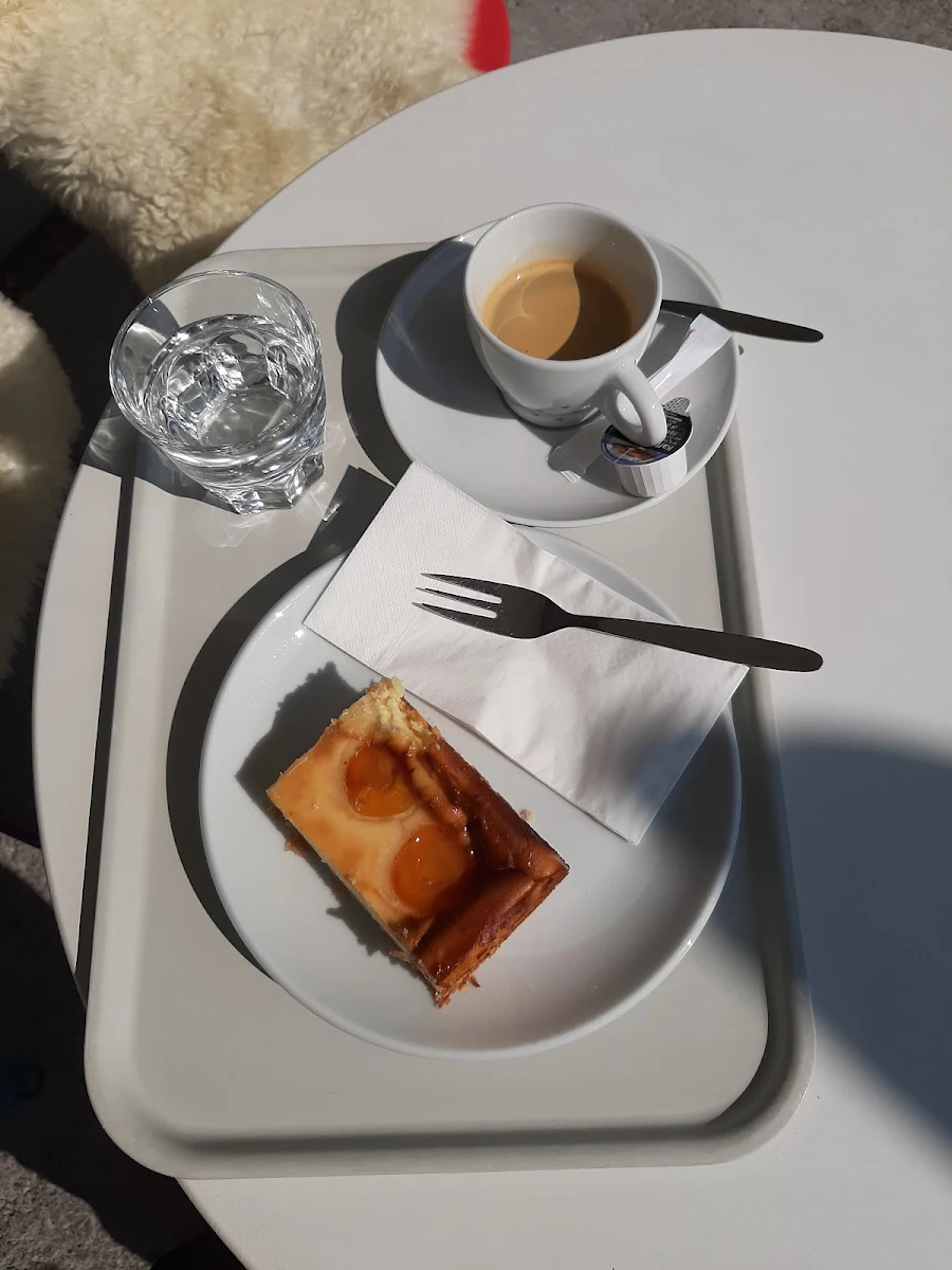 Topfenkuchen Mit Marillen