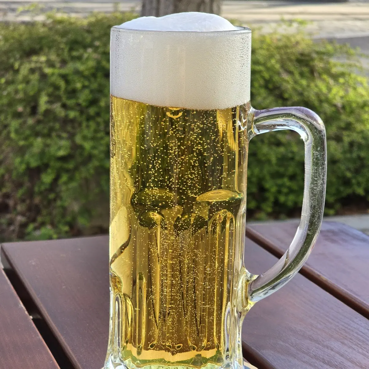 Bier