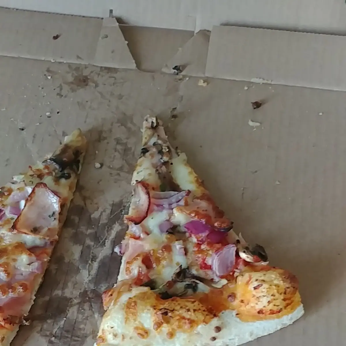 Pizza Mit Schinken Paprika Zwiebeln Speck Und Ei