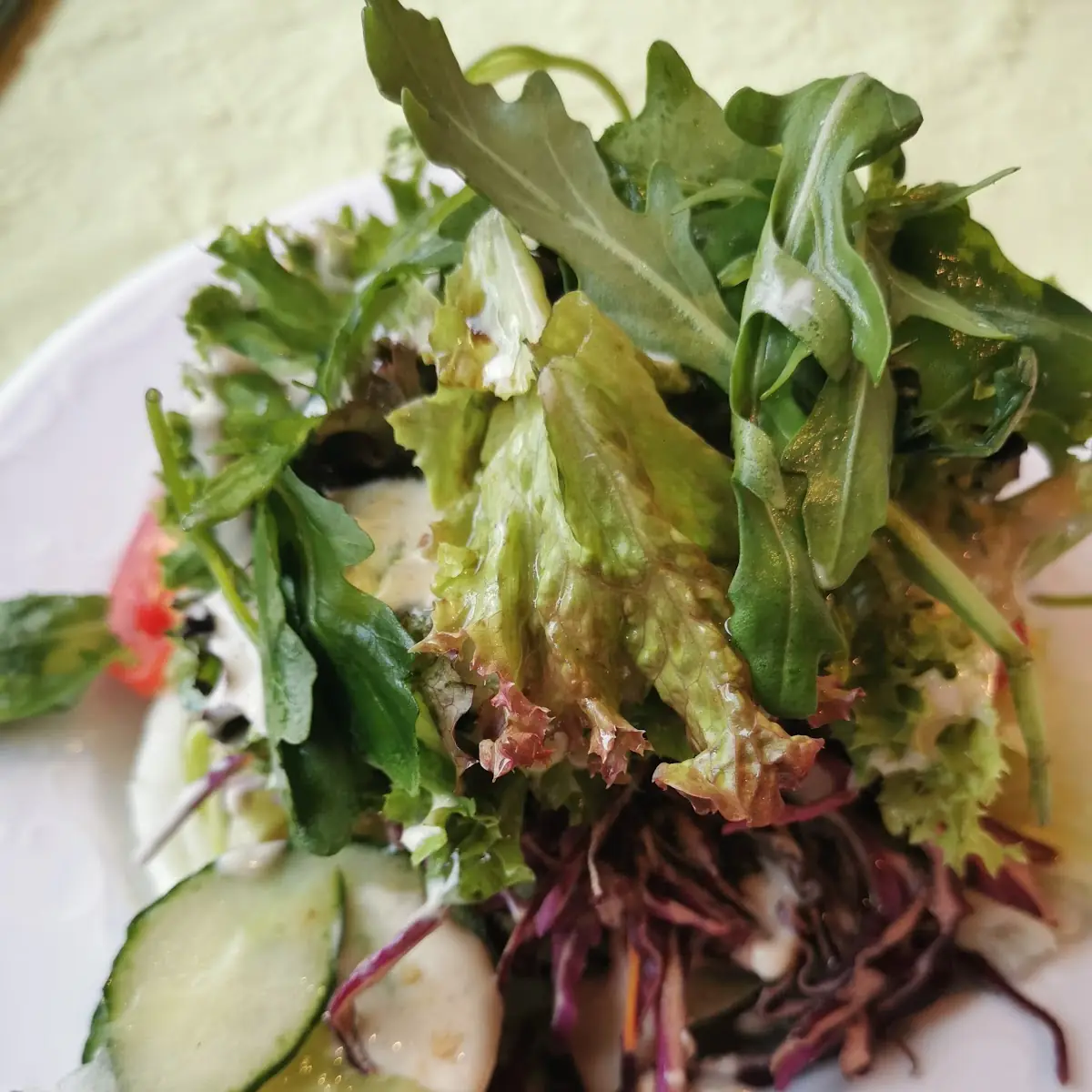 Salat Zum Geschnetzelten