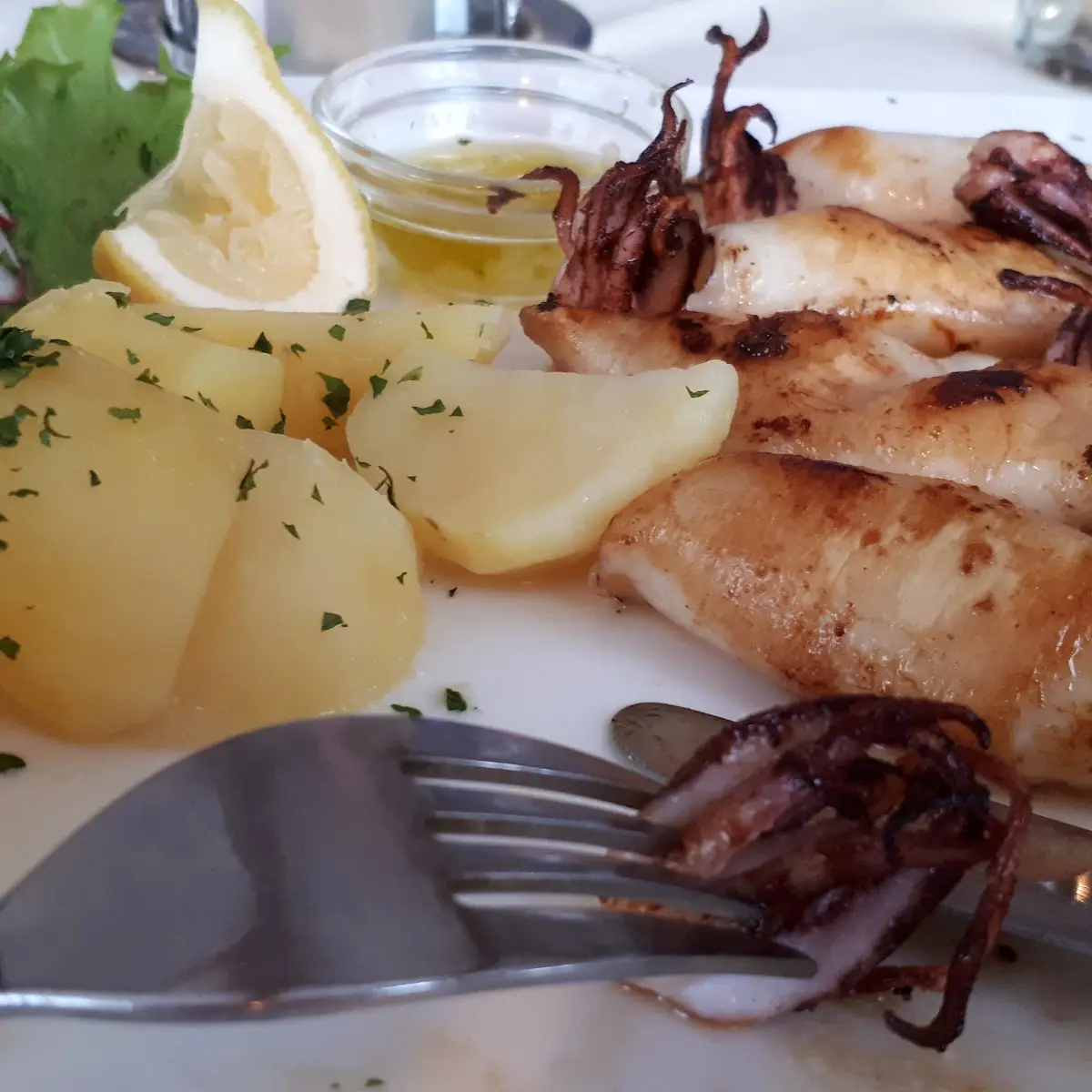 Calamari Fritti