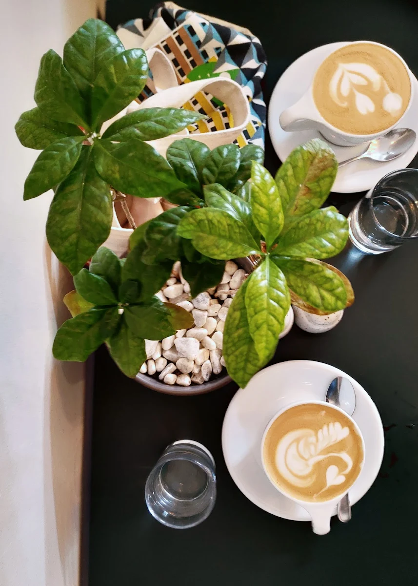 Cappuccino