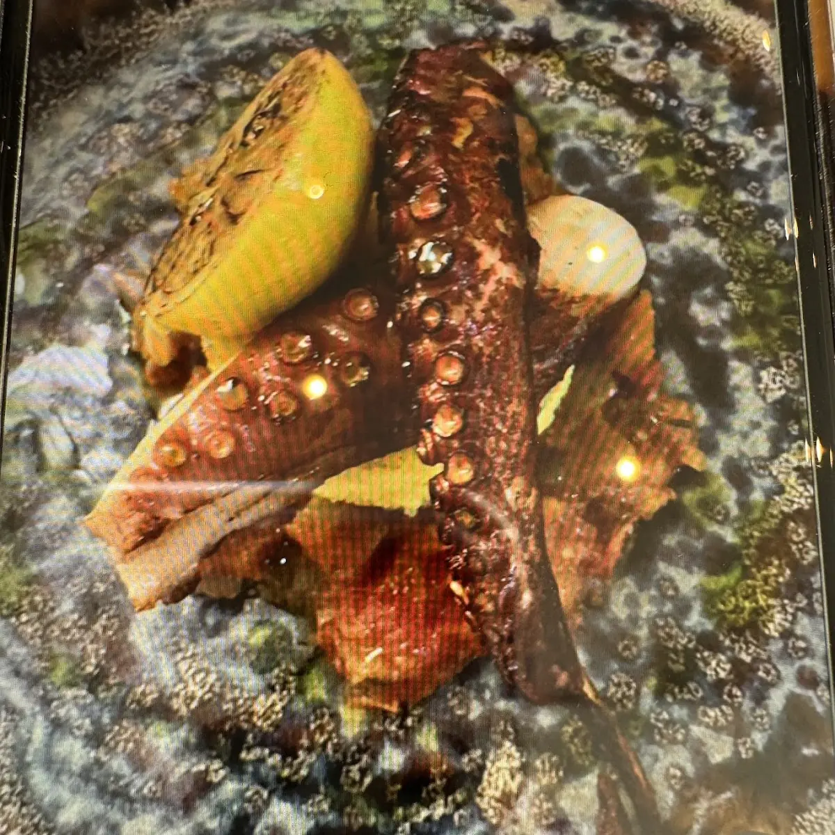 Charred Octopus Salad