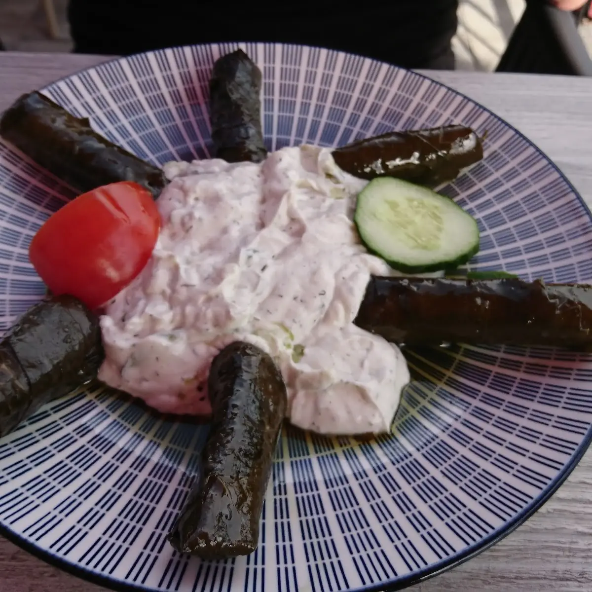 Griechische Weinblätter Mit Tzatziki