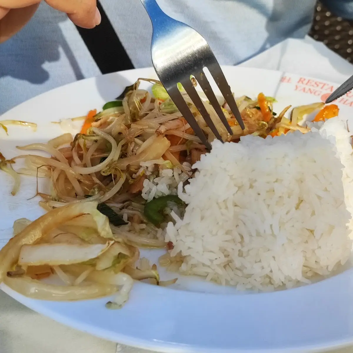Chicken Noodles