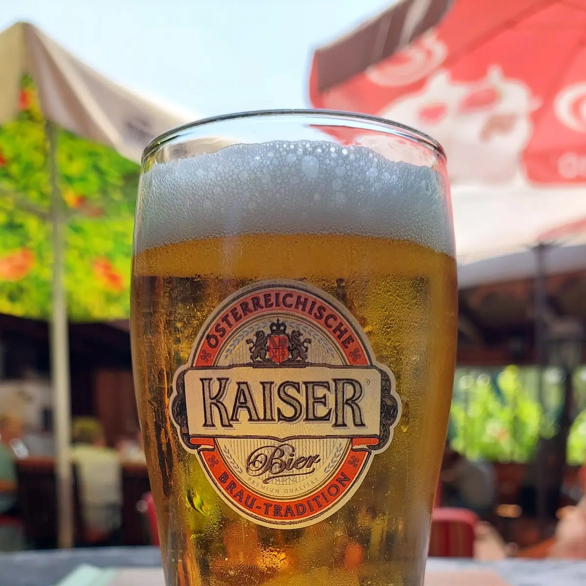 Bier