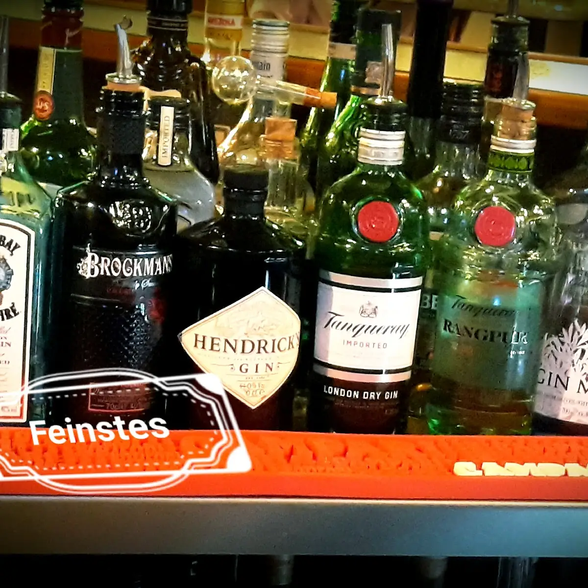 Gin Tasting