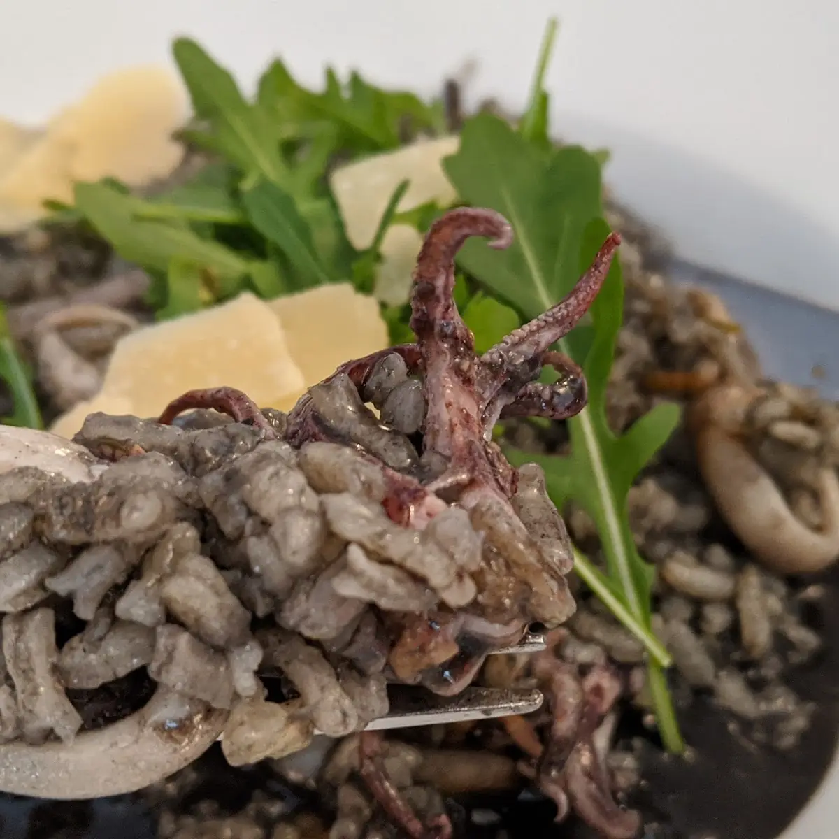 Risotto Nero