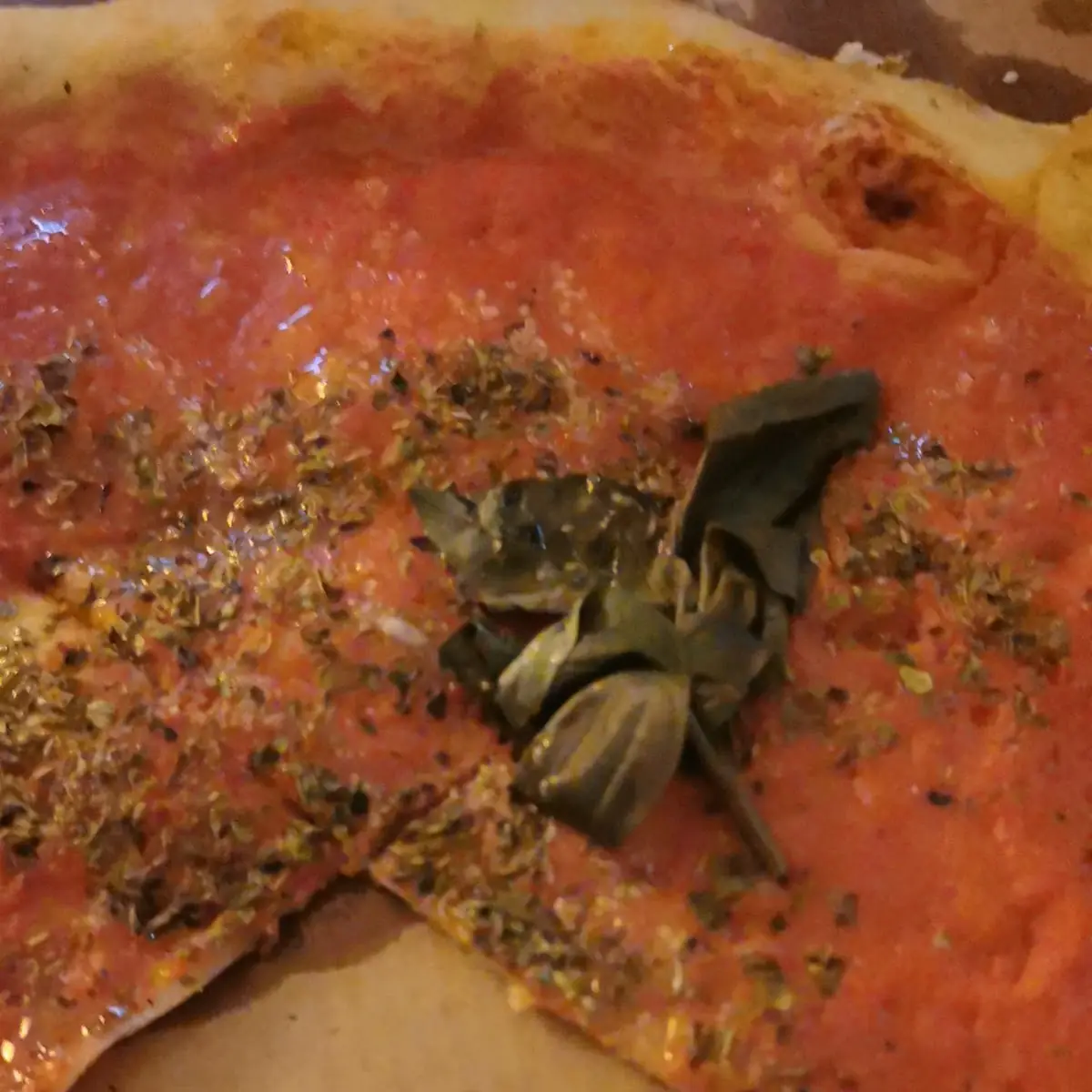 Pizza Marinara