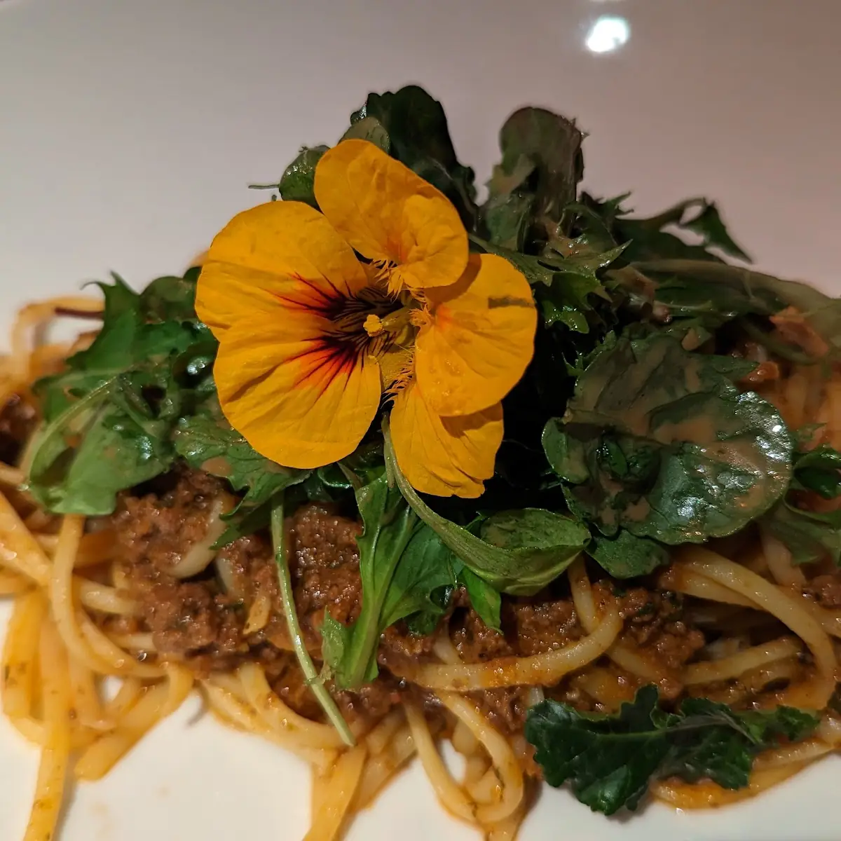 Wildragout Bolognese