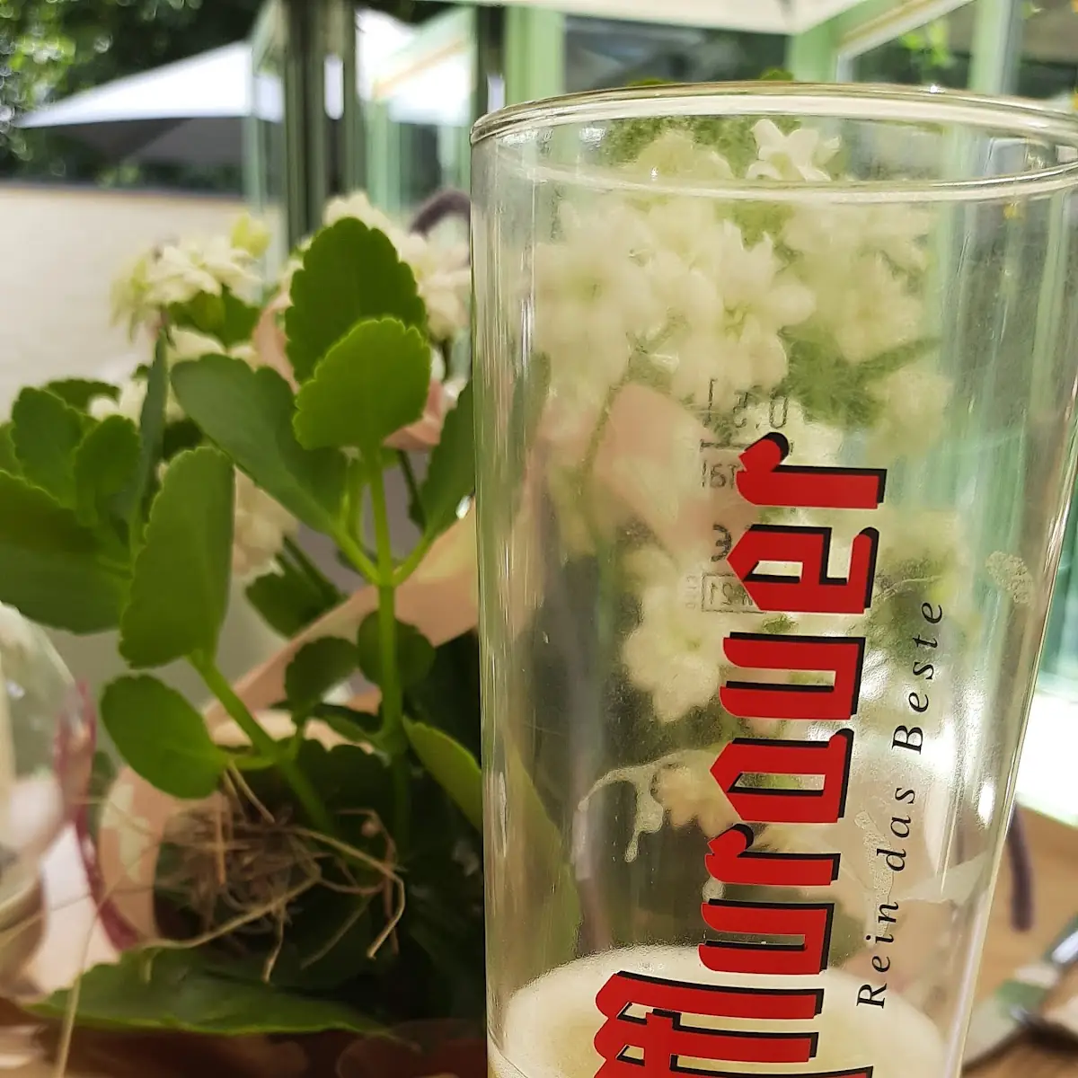 Radler