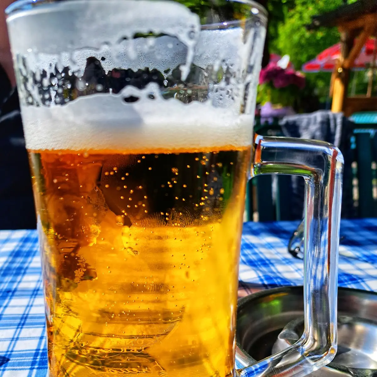 Bier