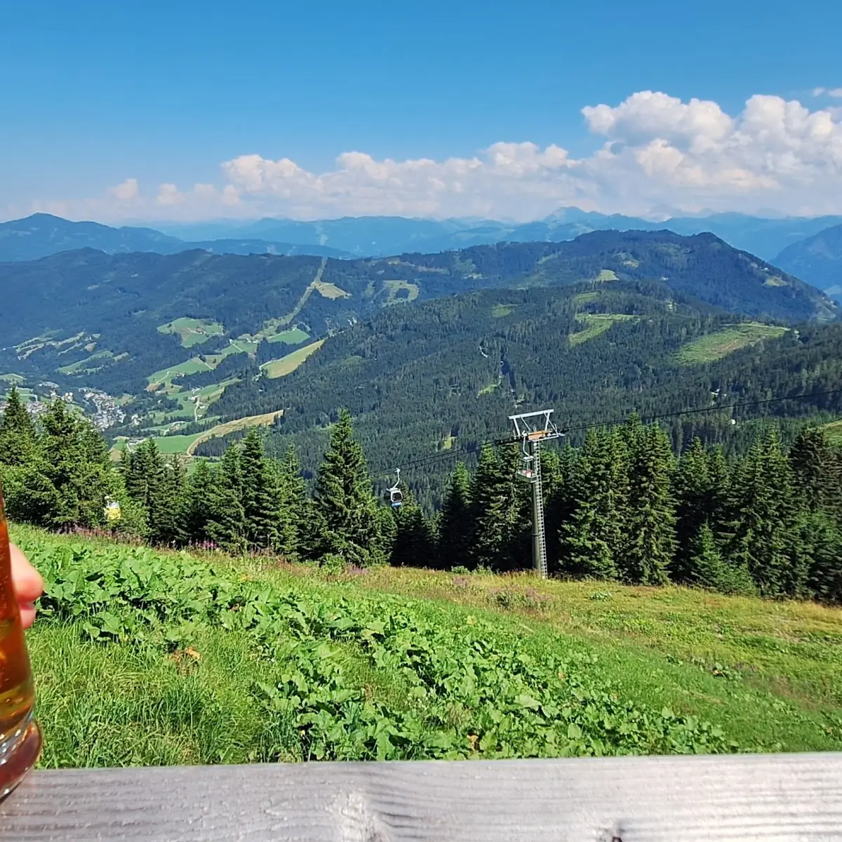 Bier