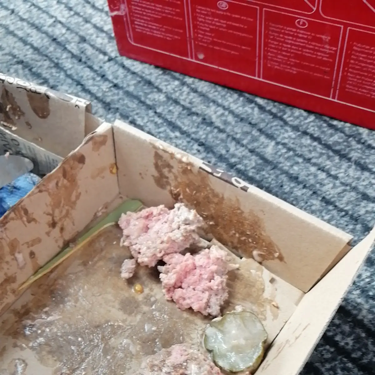 Rindsburger