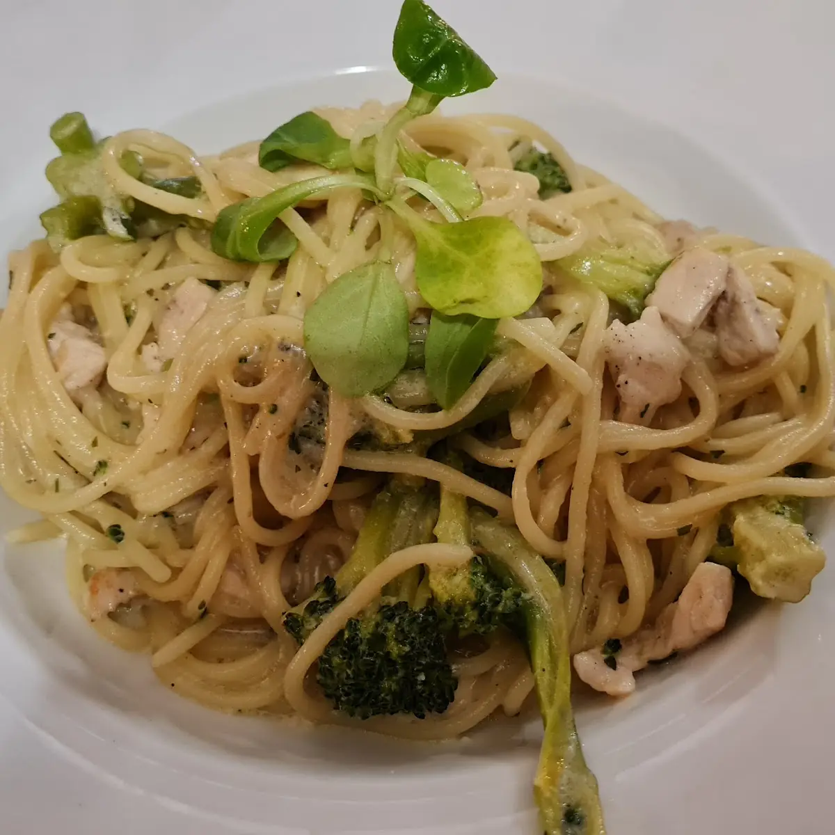 Spaghetti Ontario