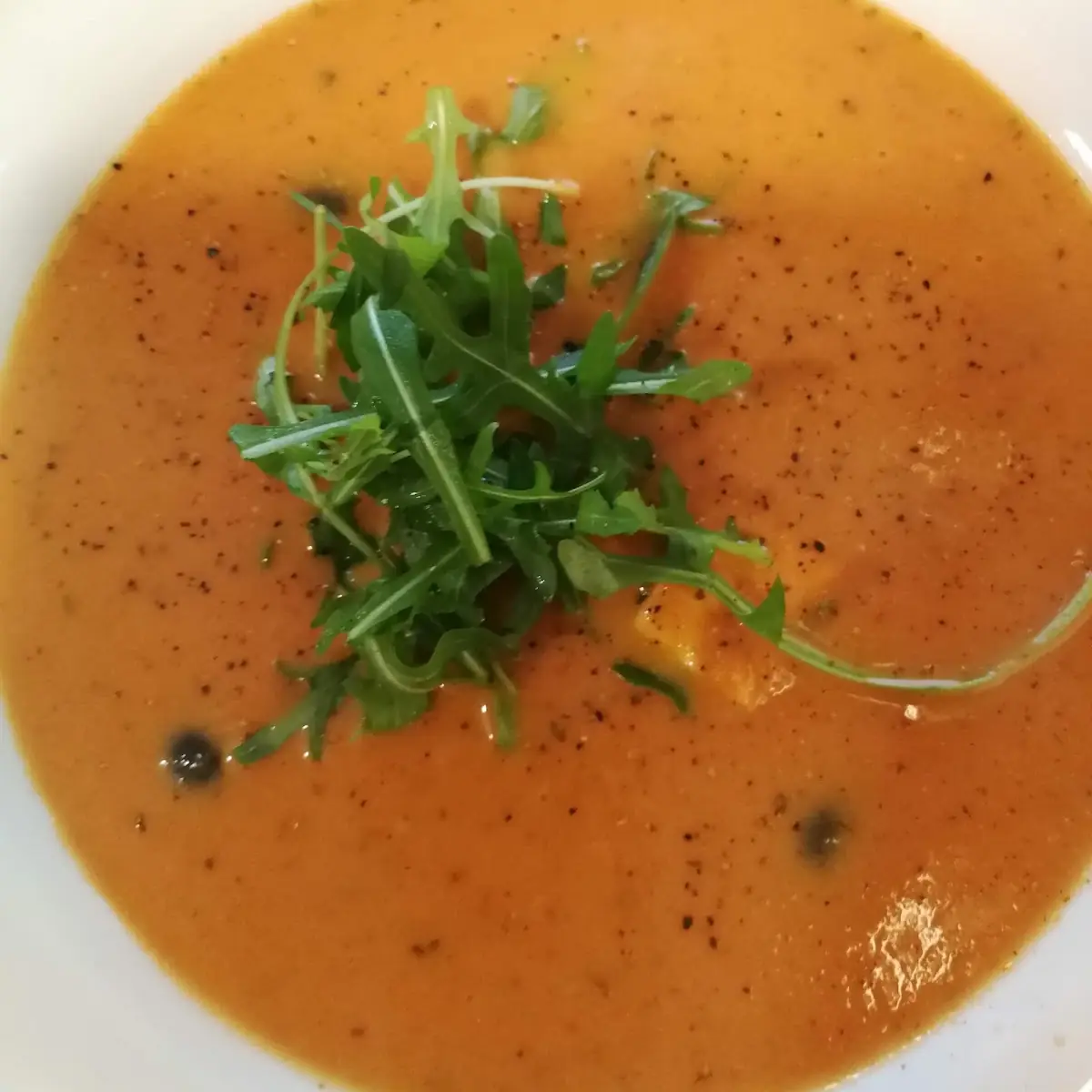 Soup of the Day