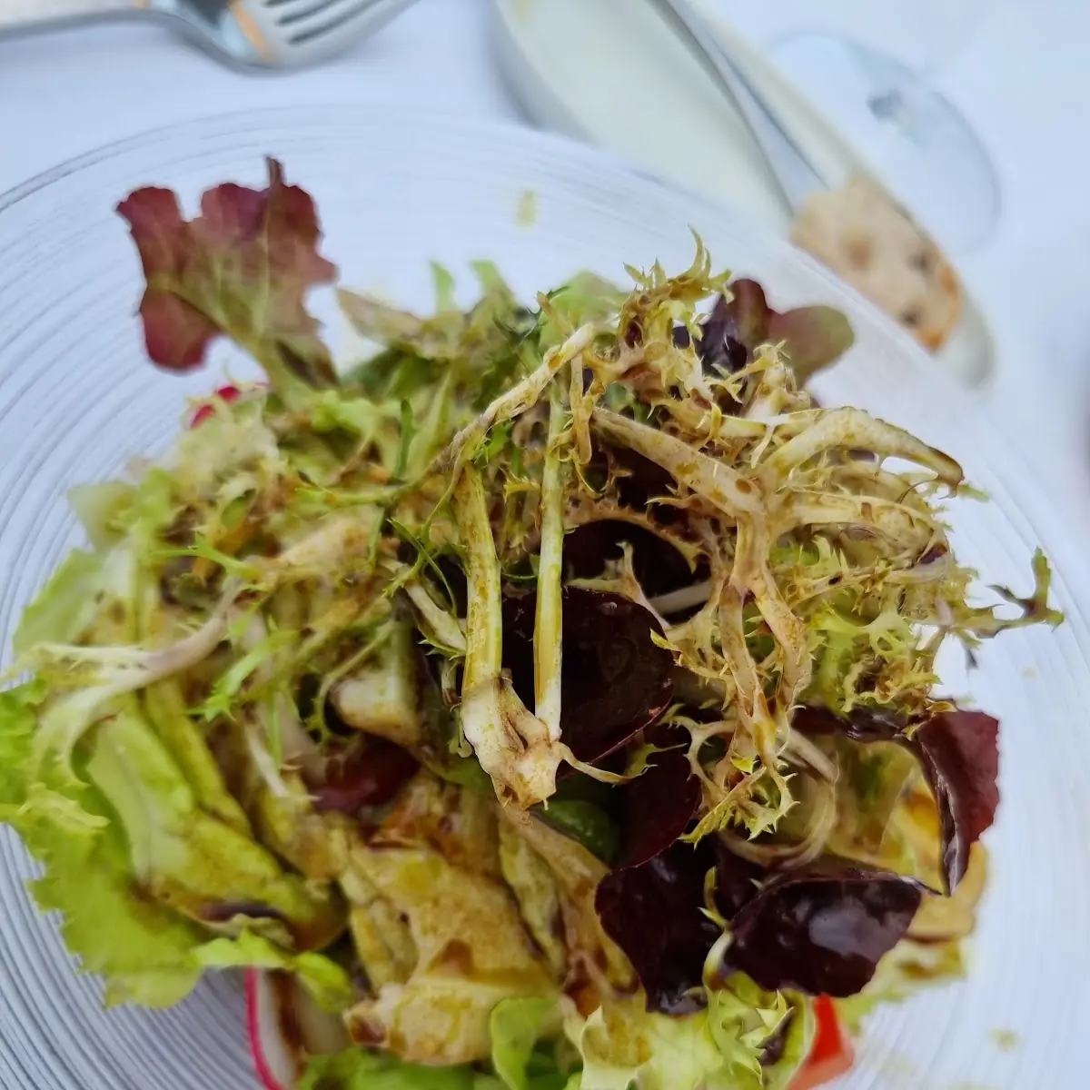 Salat Mit Ciccoree Und Wilden Kräutern
