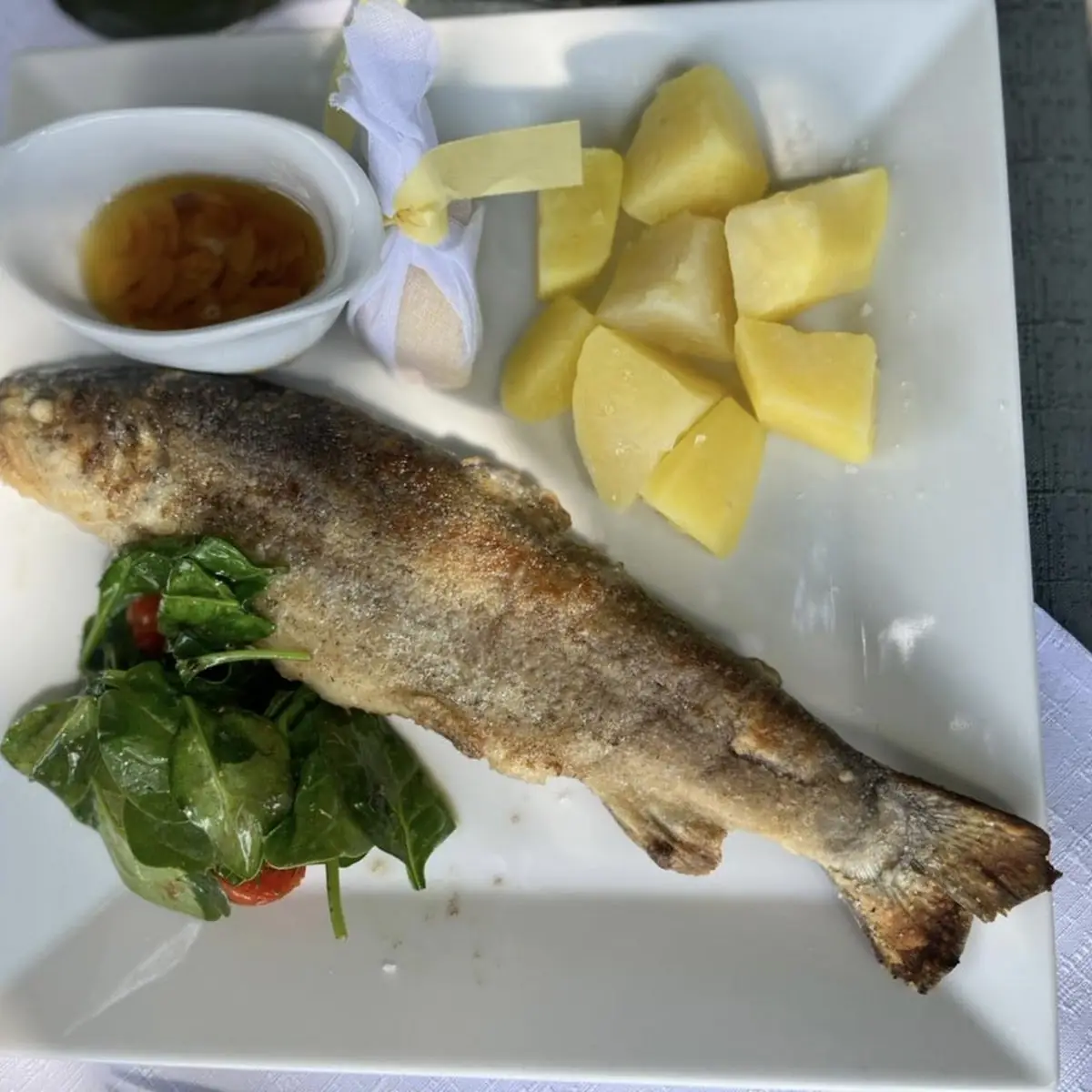 Trout Main Course