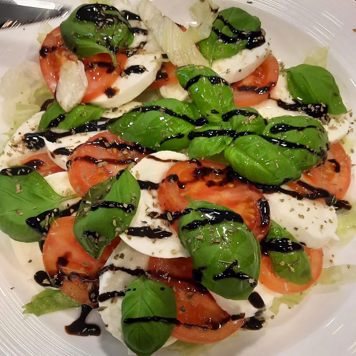 Tomate Mozarella
