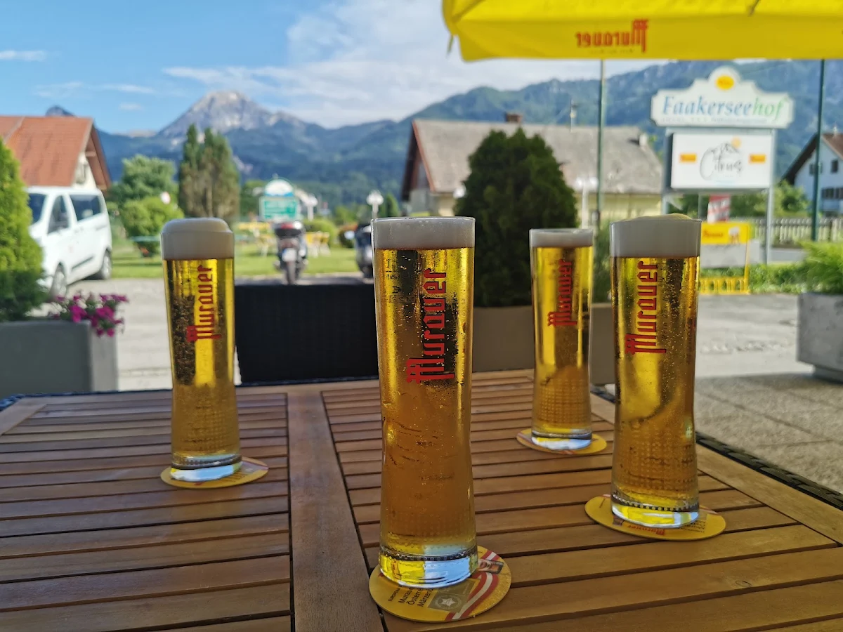 Bier