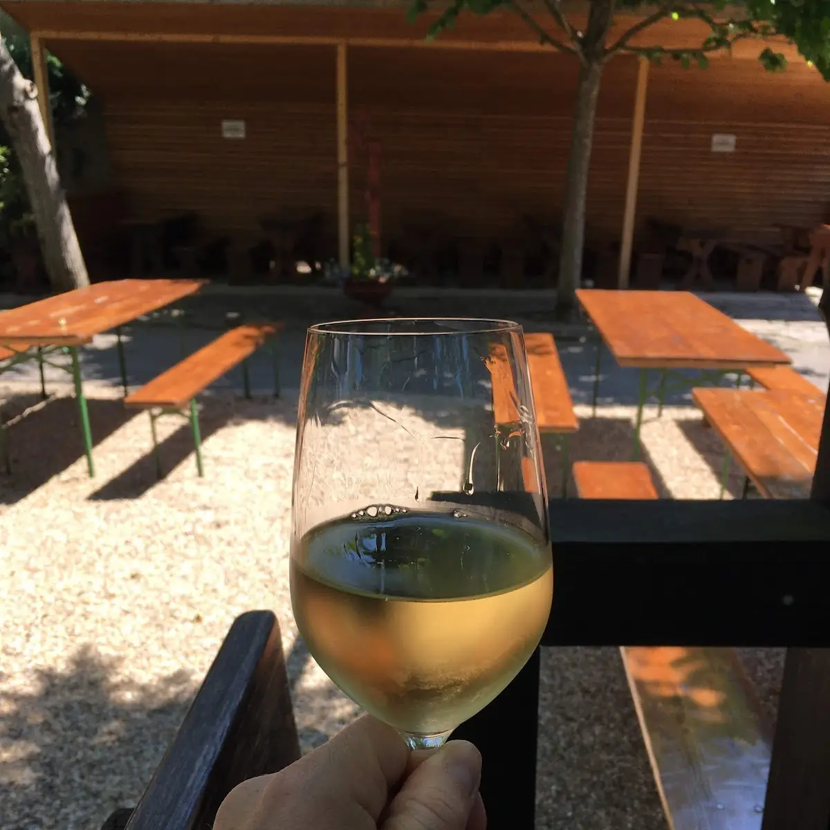 Grüner Veltliner