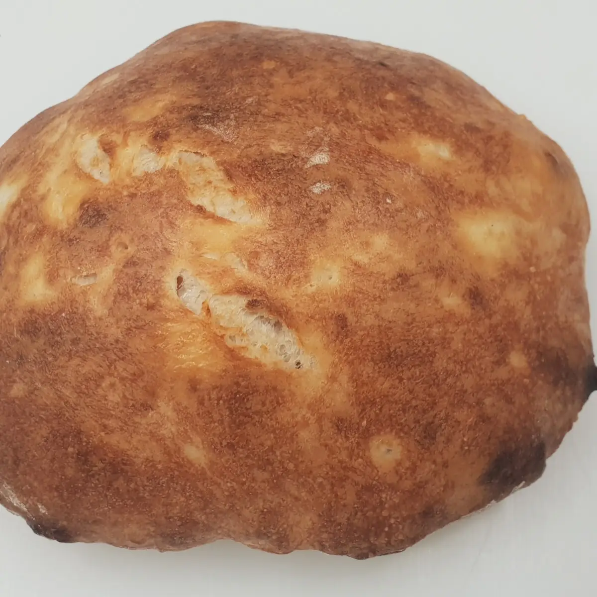 Frisch Gebackene Brot