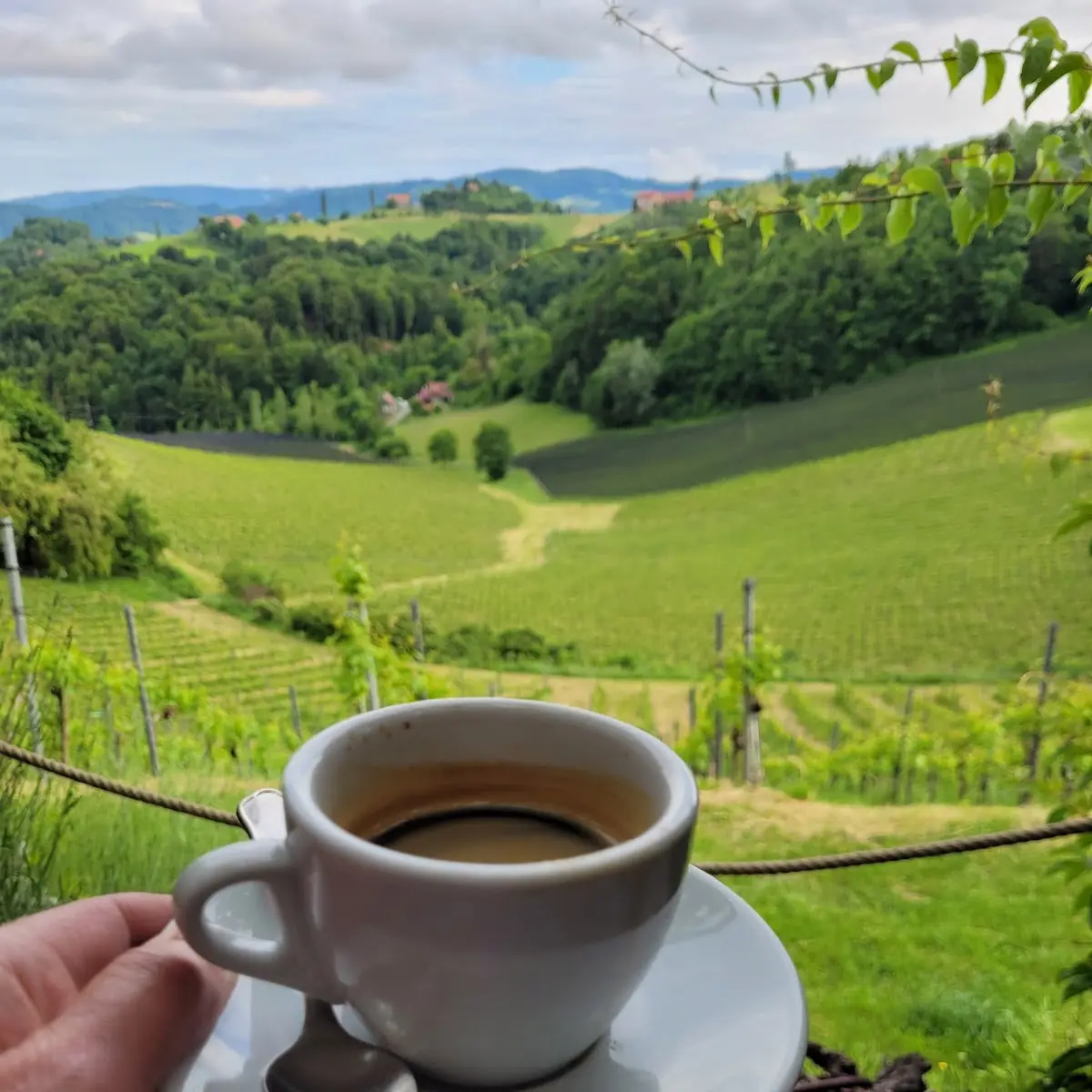 Café