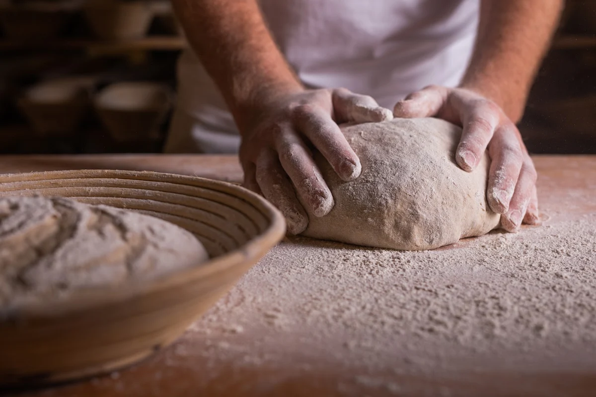 Highlight 4