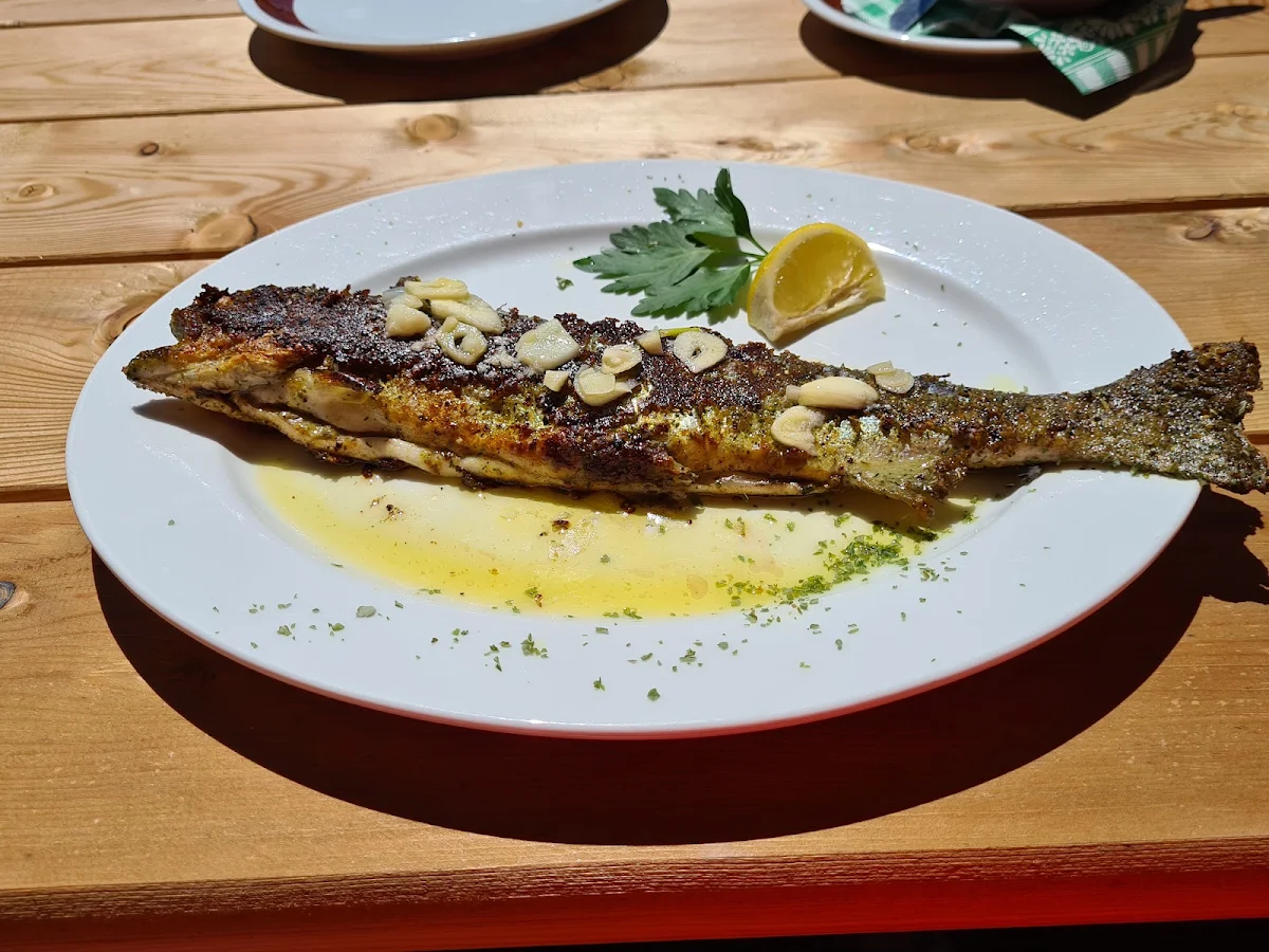 Forelle Mit Viel Knoblauch Und Liebe Zubereitet