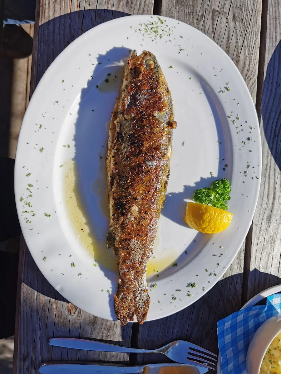 Gegrillte Bachforelle