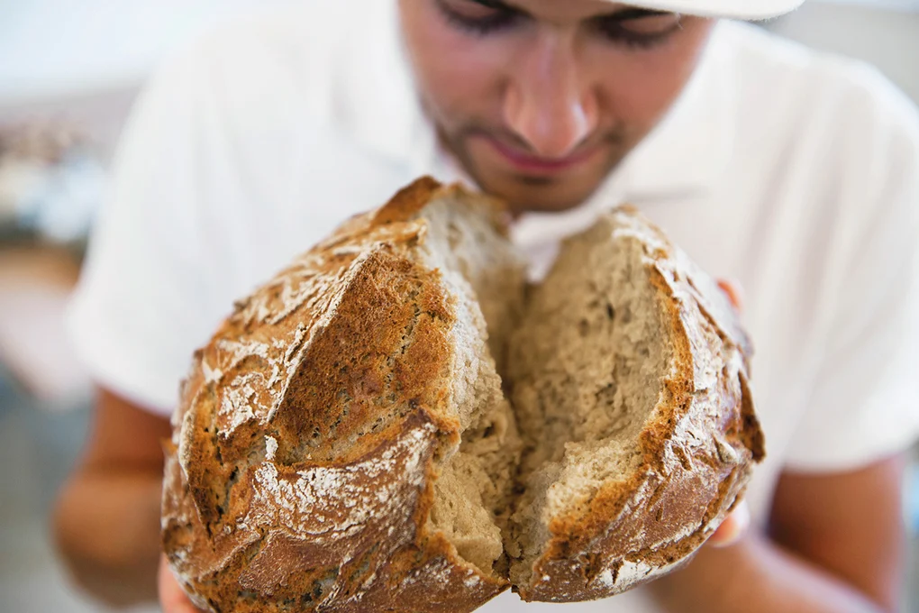 Brot