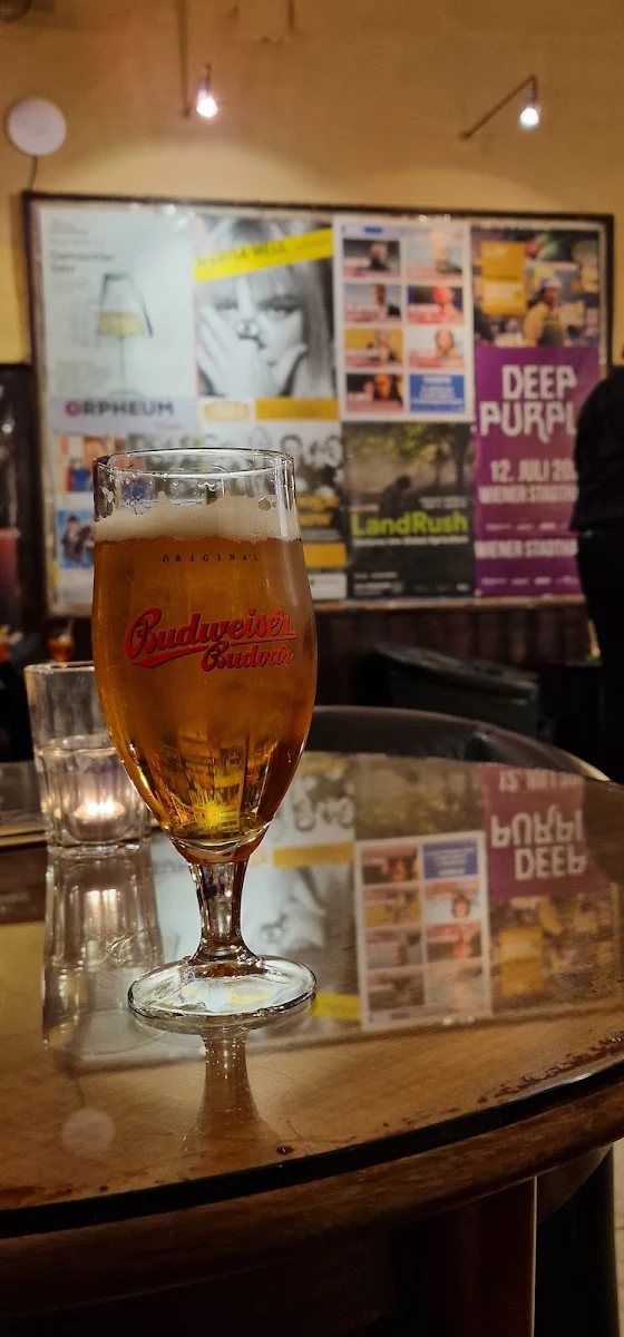 Bier